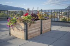 Transform Your Space with Urban Gardening