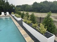 Pool Landscaping Ideas