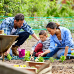 Family-Friendly Backyard Ideas to Spend More Time Together