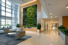 best gifts for the backyard