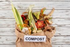Composting Basics — Florida Gardenista