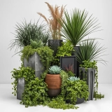 Container Gardening Made Simple: A Step-by-Step Guide